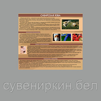 Сибирская язва- плакат, стенд