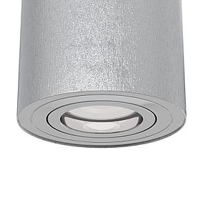 C016CL-01S Потолочный светильник Alfa Ceiling & Wall Maytoni, фото 2