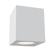 C013CL-01W Потолочный светильник Alfa Ceiling & Wall Maytoni