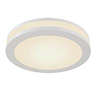 DL2001-L12W4K Встраиваемый светильник Phanton Downlight Maytoni