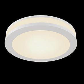 DL2001-L12W Встраиваемый светильник Phanton Downlight Maytoni, фото 2