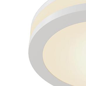 DL2001-L12W Встраиваемый светильник Phanton Downlight Maytoni, фото 2