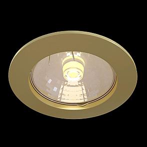 DL009-2-01-G Встраиваемый светильник Metal Modern Downlight Maytoni, фото 2
