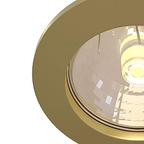 DL009-2-01-G Встраиваемый светильник Metal Modern Downlight Maytoni, фото 2