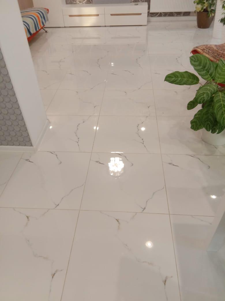 Керамогранит Primera Carrara 60x60