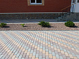 Тротуарная плитка 2с "Кирпичик" "6", фото 5