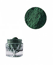 JUST  Pigment  Пигмент 1,5г  т.17