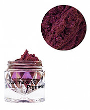 JUST  Pigment  Пигмент 1,5г  т.25