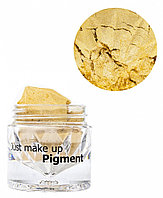 JUST Pigment Пигмент 1,5г т.41