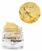 JUST  Pigment  Пигмент 1,5г  т.41