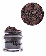 JUST  Pigment  Пигмент 2,5г  т.23