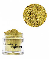 JUST Pigment Пигмент 2,5г т.28