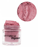 JUST Pigment Пигмент 2,5г т.53