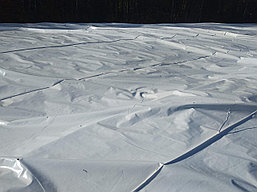 Пленка черно-белая для укрытия силосных и сенажных ям широкая от 12 до 24 м собственного производства, фото 3