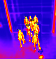 Sunell SN-T5 тепловизор медицинский + черное тело, фото 2