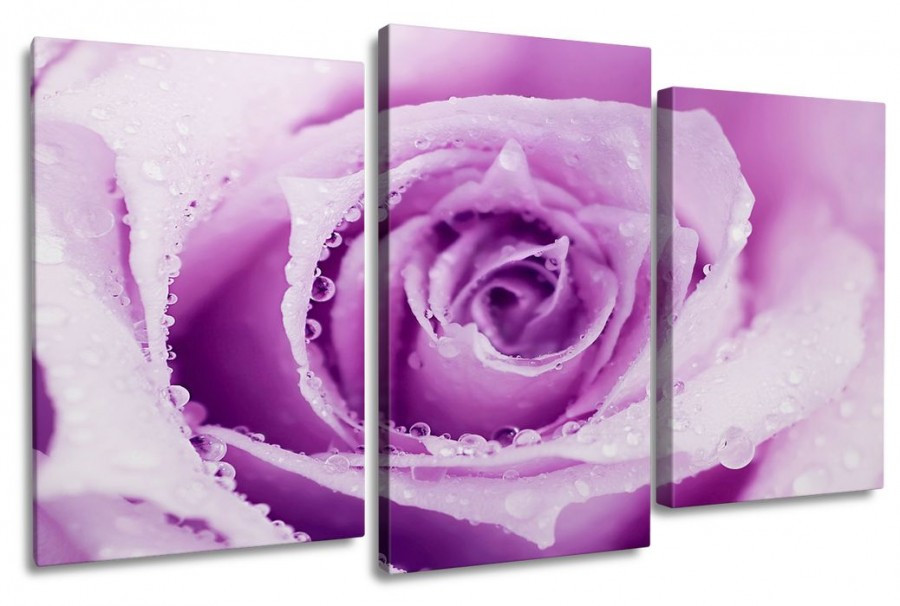 Модульные картины 60x100 КМ6161