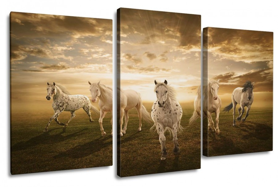 Модульные картины 60x100 КМ6291