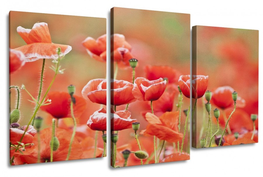 Модульные картины 60x100 КМ6526