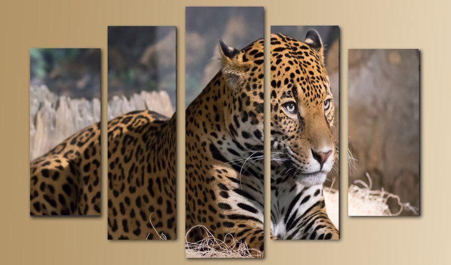 Модульные картины 80x140 ПКМ1602