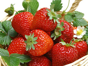 Клубника Дарселект