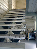 Лестницы металлические, фото 2