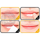 Скраб для губ с экстрактом меда и молочными протеинами APieu Honey  Milk Lip Scrub, 8мл     Original Korea, фото 4