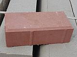 Плитка тротуарная «Кирпичик-6» П 20.10.6 М-а Красная 3%, фото 4