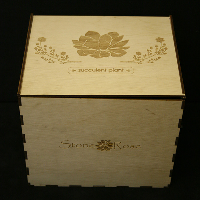 Деревянная коробка для растений «Суккулент»