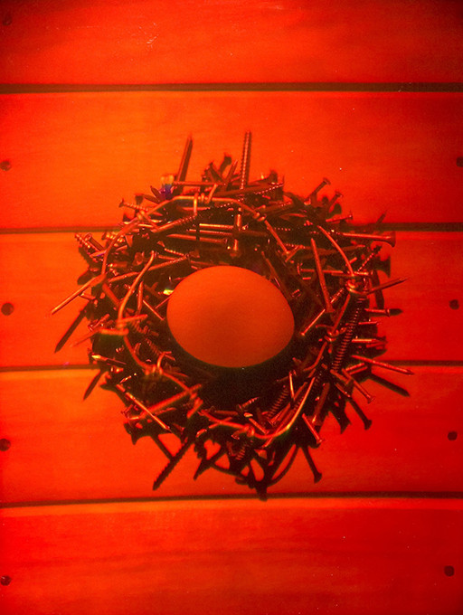 Голограмма «Яйцо в гнезде» - фото 1 - id-p121954536