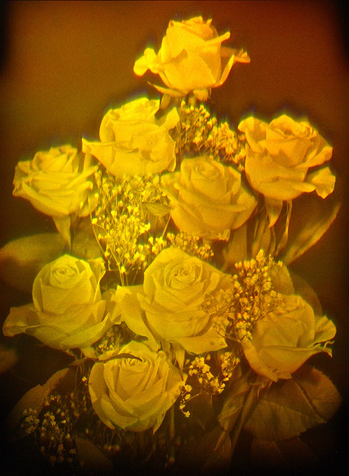 Голограмма «Розы» - фото 1 - id-p121954588