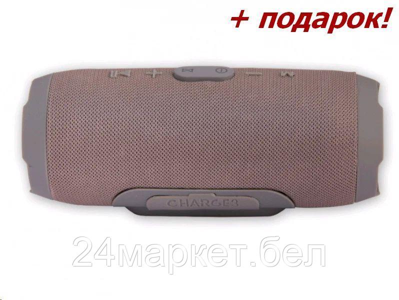 SK1003GY серый Акустика Belsis - фото 1 - id-p119413583