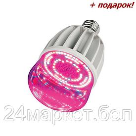 11098 LED-M80-20W/SP/E27/CL ALS55WH Лампа светодиодная для растений UNIEL