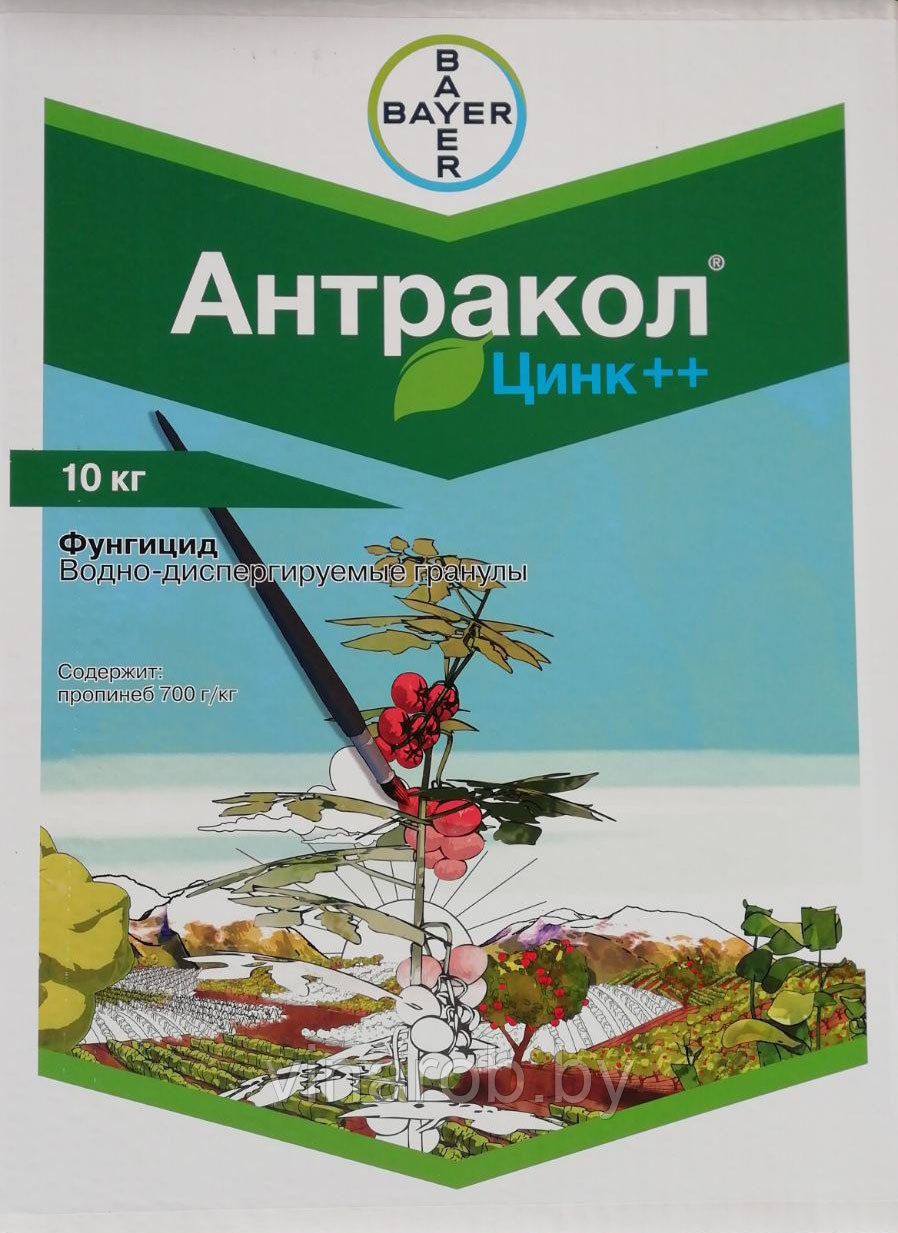 Фунгицид Антракол Zn++ (100 г) - фото 2 - id-p121993574