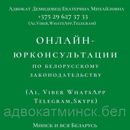 ЮРКОНСУЛЬТАЦИИ А Д В О К А Т А Демидовец Е.М.Минск и вся Беларусь - фото 3 - id-p65986158