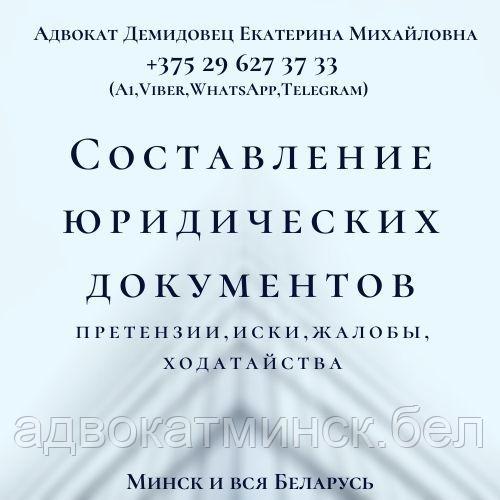 ЮРКОНСУЛЬТАЦИИ А Д В О К А Т А Демидовец Е.М.Минск и вся Беларусь - фото 8 - id-p65986158