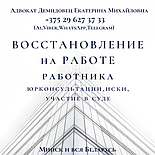 Юридические консультации опытного  А Д В О К  А Т А  Демидовец Е.М. Минск и вся Беларусь, фото 10