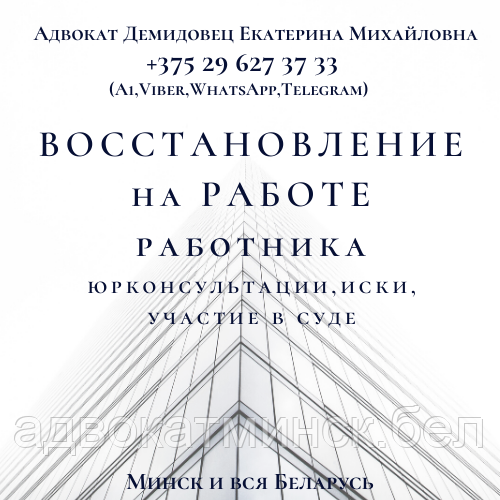 ЮРКОНСУЛЬТАЦИИ А Д В О К А Т А Демидовец Е.М.Минск и вся Беларусь - фото 10 - id-p65986158