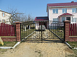 Кованые ворота и калитка. Распашные ворота, фото 6