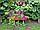 Цветочница садовая из массива сосны "Из Бревна", фото 2