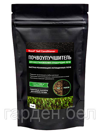 Reasil® Soil Conditioner Для восстановления плодородия почв 1кг дой-пак, фото 2
