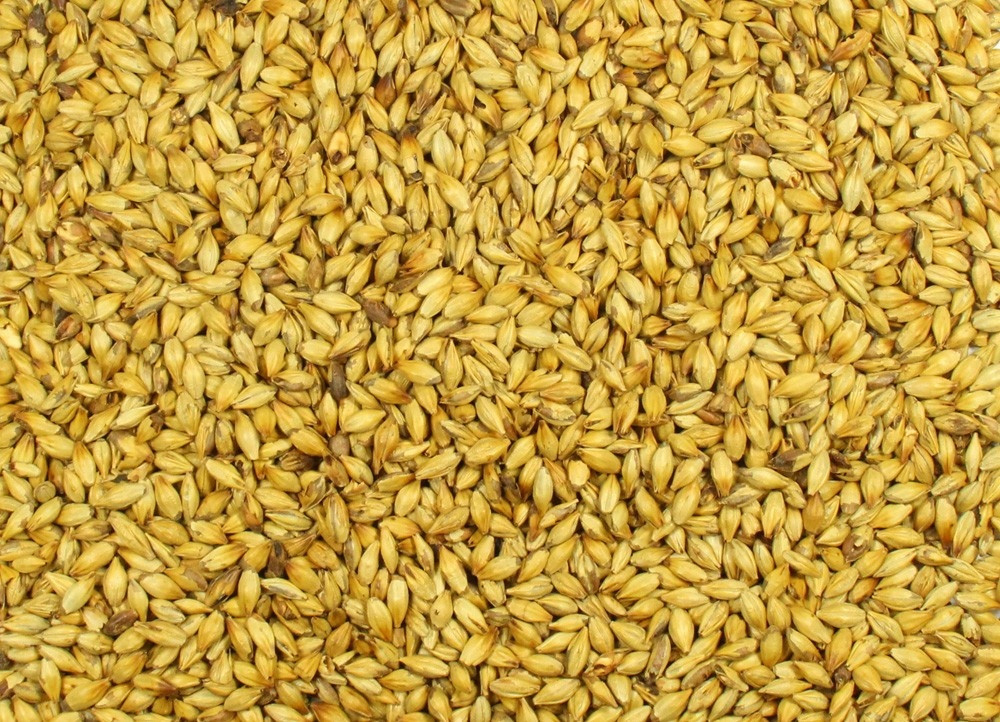 Солод пшеничный светлый (40кг)