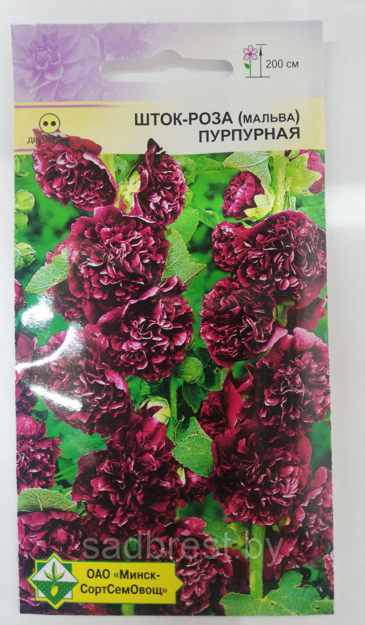 Семена Шток-роза мальва Пурпурная (0,15 гр) МССО - фото 1 - id-p122797829