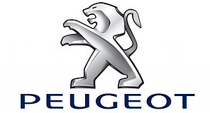 Подсветка логотип в машину GHOST SHADOW LIGHT (Разные марки) Peugeot
