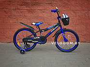 Велосипед детский  Delta Sport-20" черный/синий, фото 2