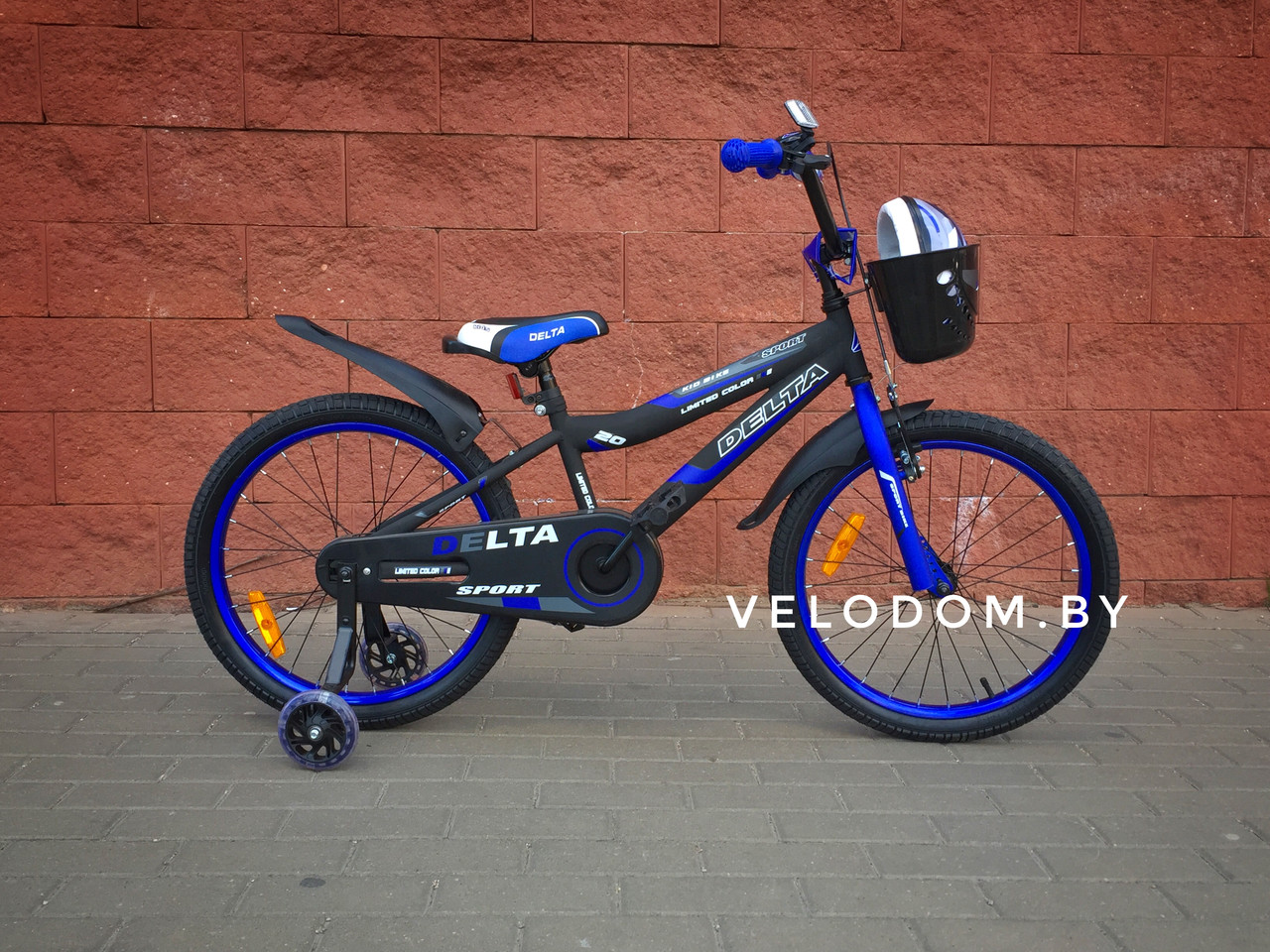 Велосипед детский Delta Sport-20" черный/синий - фото 3 - id-p94273247