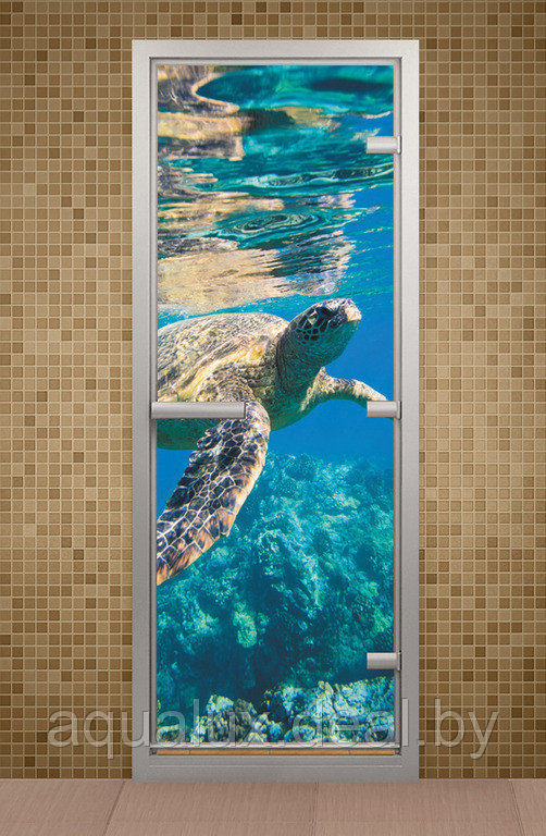 Дверь для турецкой бани и ванной Водный мир - фото 1 - id-p123089032
