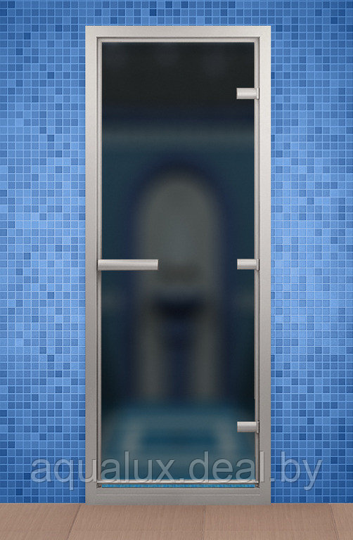 Дверь для турецкой бани и ванной, стекло сатин - фото 1 - id-p123089062