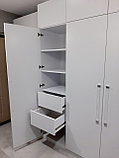 Распашной шкаф в прихожую, фото 2