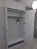 Распашной шкаф в прихожую, фото 3