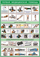Плакат по охране труда Первая доврачебная помощь №8 р-р 40*57 см на ПВХ